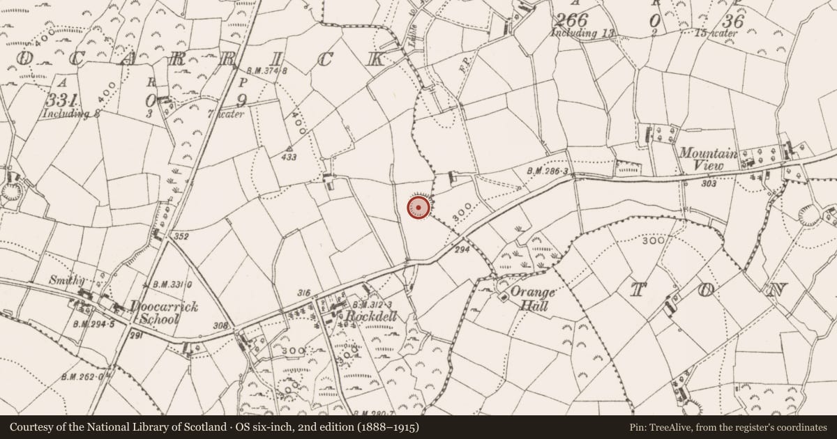 Ordnance Survey six-inch map, 2nd edition (1888–1915) covering the location of Ringfort - rath, Doocarrick, County Cavan, with a pin at the register's coordinates