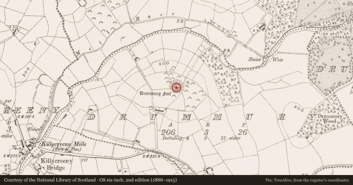 Ordnance Survey six-inch map, 2nd edition (1888–1915) covering the location of Ringfort - rath, Drummury, County Cavan, with a pin at the register's coordinates