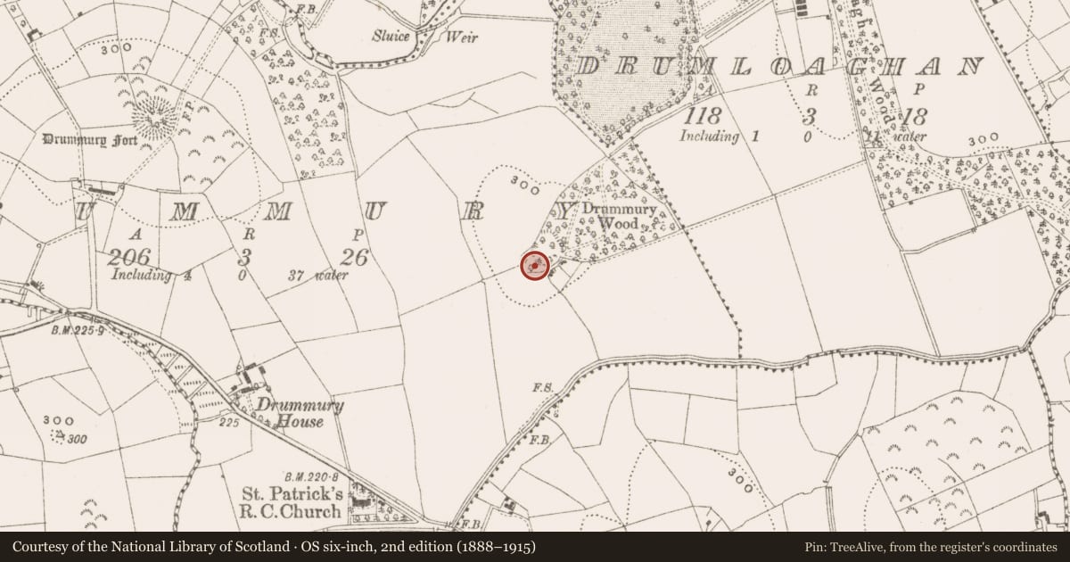 Ordnance Survey six-inch map, 2nd edition (1888–1915) covering the location of Ringfort - rath, Drummury, County Cavan, with a pin at the register's coordinates