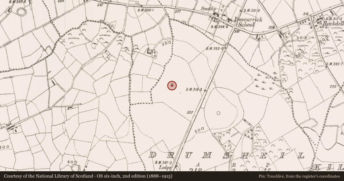 Ordnance Survey six-inch map, 2nd edition (1888–1915) covering the location of Ringfort - rath, Drumsheil, County Cavan, with a pin at the register's coordinates