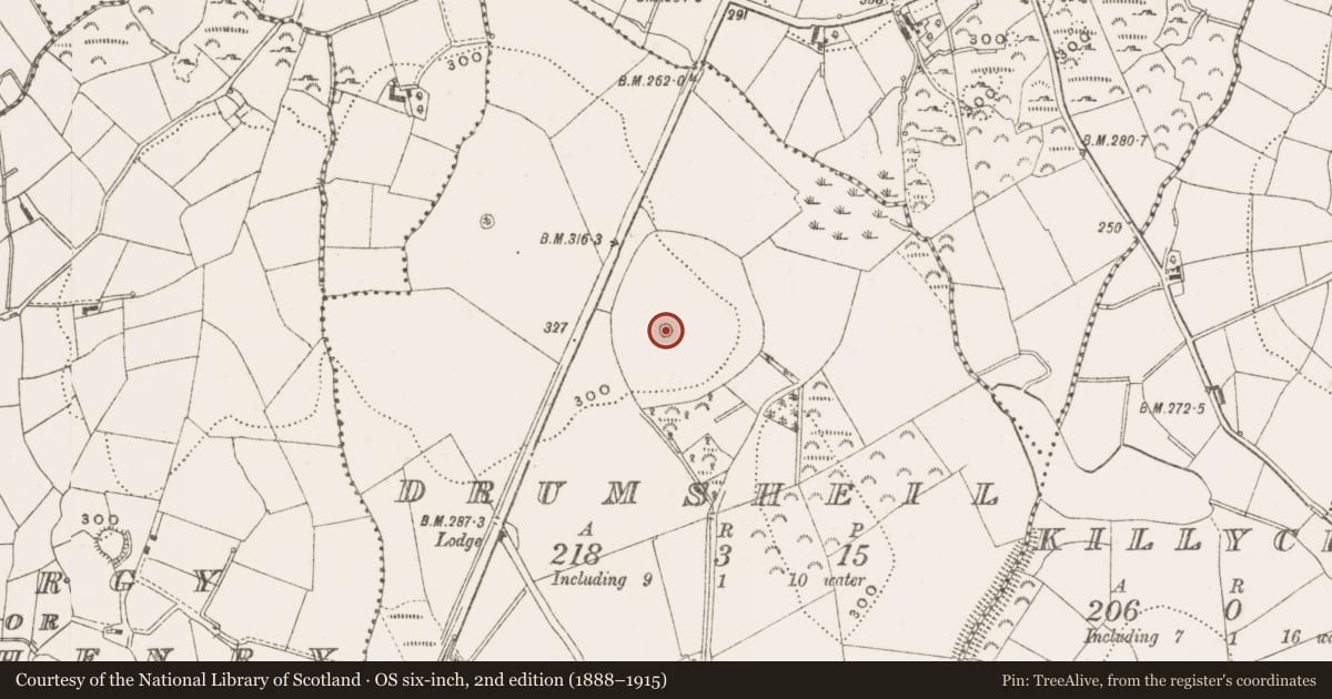 Ordnance Survey six-inch map, 2nd edition (1888–1915) covering the location of Ringfort - rath, Drumsheil, County Cavan, with a pin at the register's coordinates