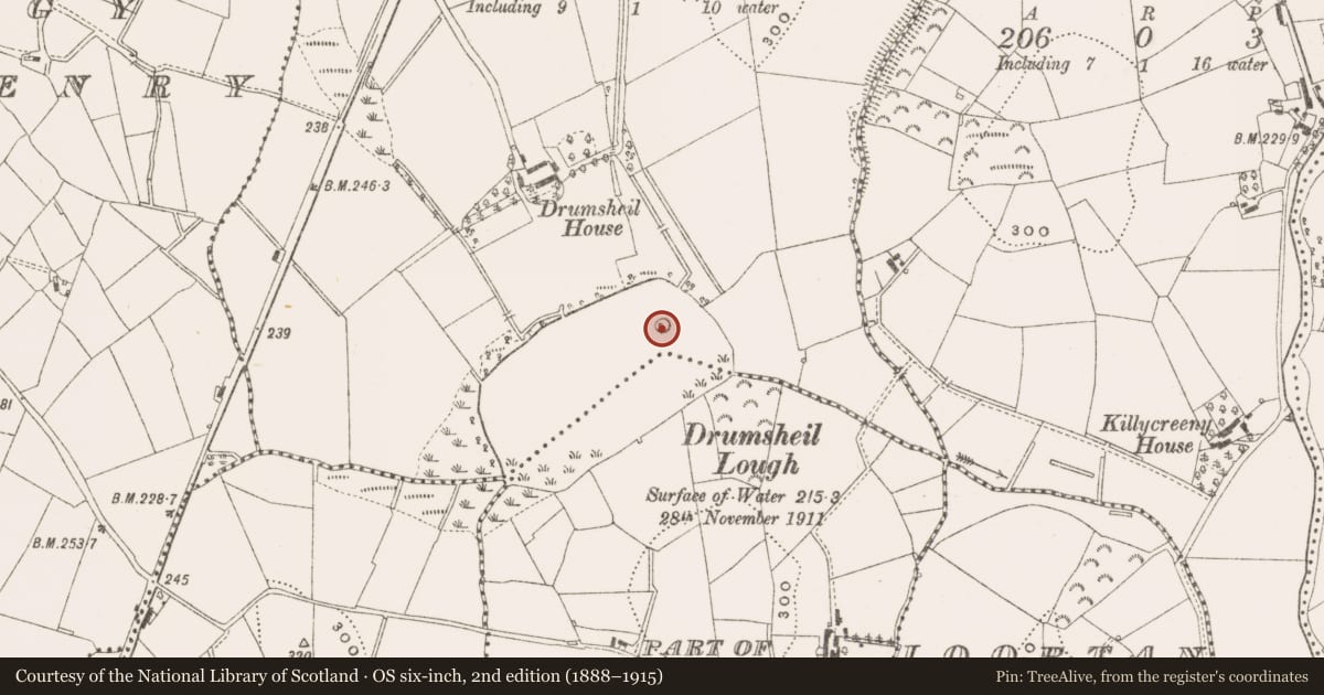 Ordnance Survey six-inch map, 2nd edition (1888–1915) covering the location of Crannog, Drumsheil, County Cavan, with a pin at the register's coordinates