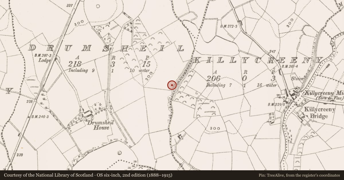 Ordnance Survey six-inch map, 2nd edition (1888–1915) covering the location of Bawn, Drumsheil, County Cavan, with a pin at the register's coordinates