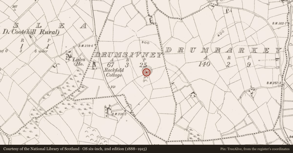 Ordnance Survey six-inch map, 2nd edition (1888–1915) covering the location of Ringfort - rath, Drumsivney, County Cavan, with a pin at the register's coordinates
