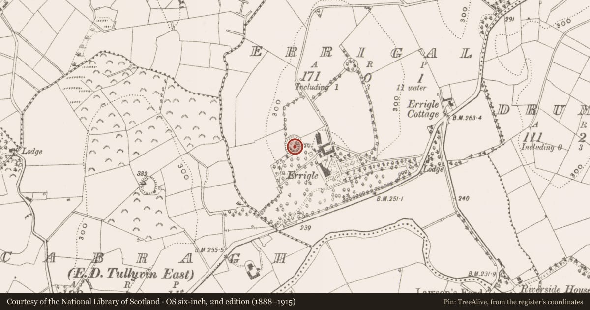 Ordnance Survey six-inch map, 2nd edition (1888–1915) covering the location of Ringfort - rath, Errigal, County Cavan, with a pin at the register's coordinates