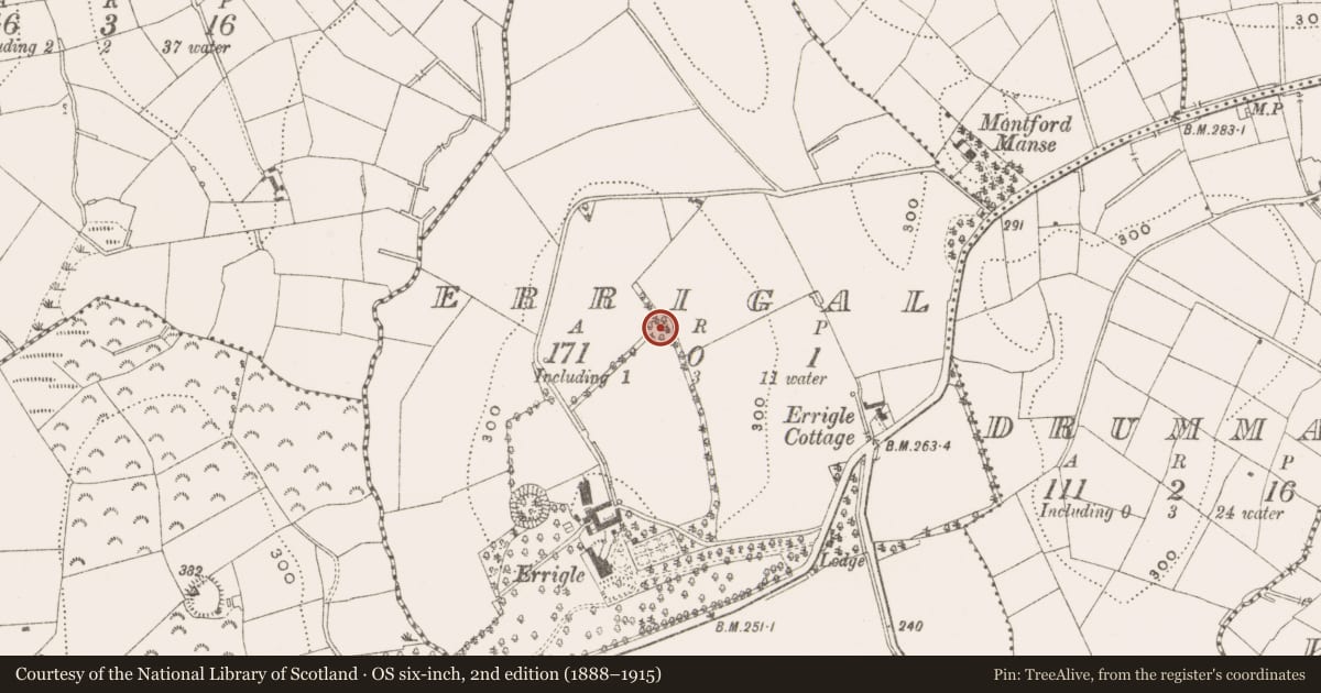 Ordnance Survey six-inch map, 2nd edition (1888–1915) covering the location of Ringfort - rath, Errigal, County Cavan, with a pin at the register's coordinates