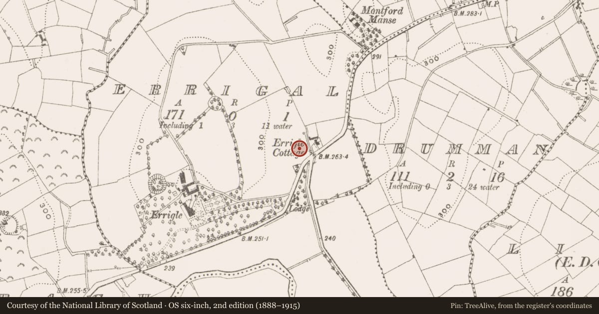 Ordnance Survey six-inch map, 2nd edition (1888–1915) covering the location of Standing stone, Errigal, County Cavan, with a pin at the register's coordinates