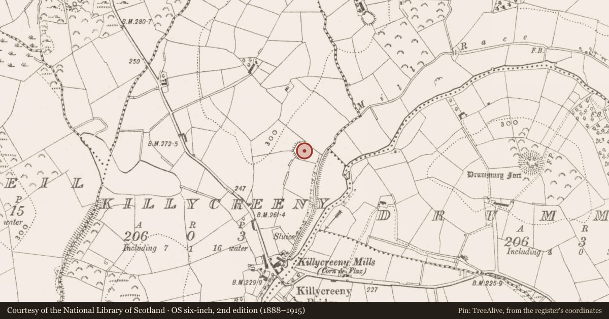 Ordnance Survey six-inch map, 2nd edition (1888–1915) covering the location of Ringfort - rath, Killycreeny, County Cavan, with a pin at the register's coordinates