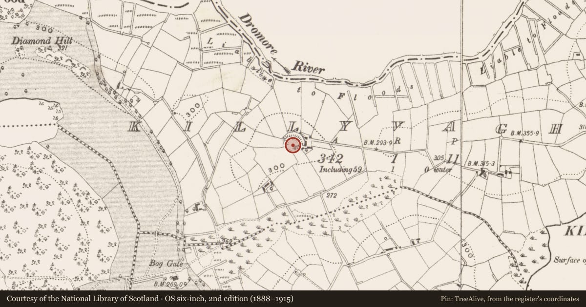 Ordnance Survey six-inch map, 2nd edition (1888–1915) covering the location of Ringfort - rath, Killyvaghan, County Cavan, with a pin at the register's coordinates