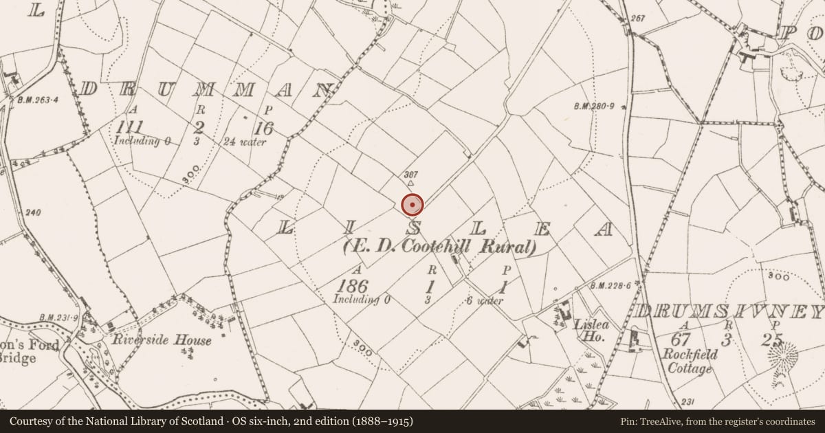 Ordnance Survey six-inch map, 2nd edition (1888–1915) covering the location of Castle - unclassified, Lislea, County Cavan, with a pin at the register's coordinates