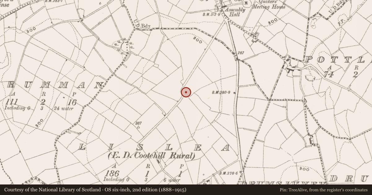 Ordnance Survey six-inch map, 2nd edition (1888–1915) covering the location of Ringfort - rath, Lislea, County Cavan, with a pin at the register's coordinates