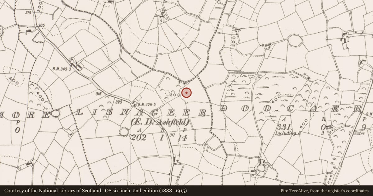 Ordnance Survey six-inch map, 2nd edition (1888–1915) covering the location of Ringfort - rath, Lisnageer, County Cavan, with a pin at the register's coordinates