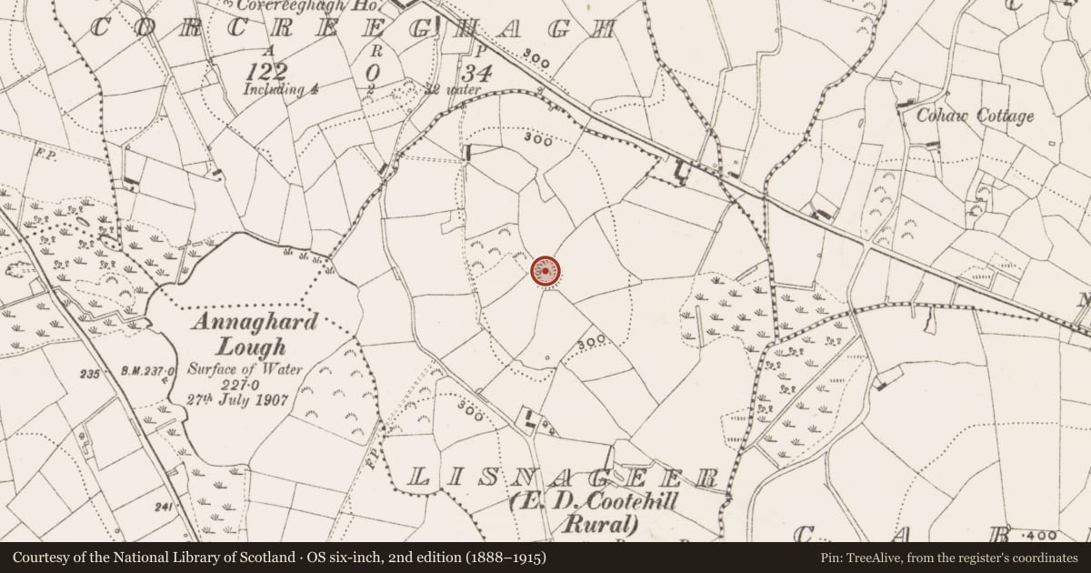 Ordnance Survey six-inch map, 2nd edition (1888–1915) covering the location of Ringfort - rath, Lisnageer, County Cavan, with a pin at the register's coordinates