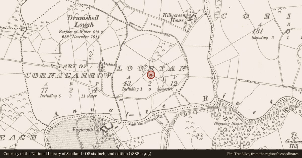 Ordnance Survey six-inch map, 2nd edition (1888–1915) covering the location of Ringfort - rath, Loortan, County Cavan, with a pin at the register's coordinates