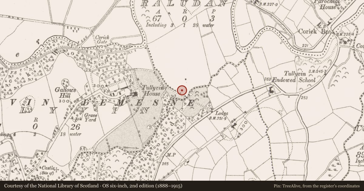 Ordnance Survey six-inch map, 2nd edition (1888–1915) covering the location of Enclosure, Raludan, County Cavan, with a pin at the register's coordinates