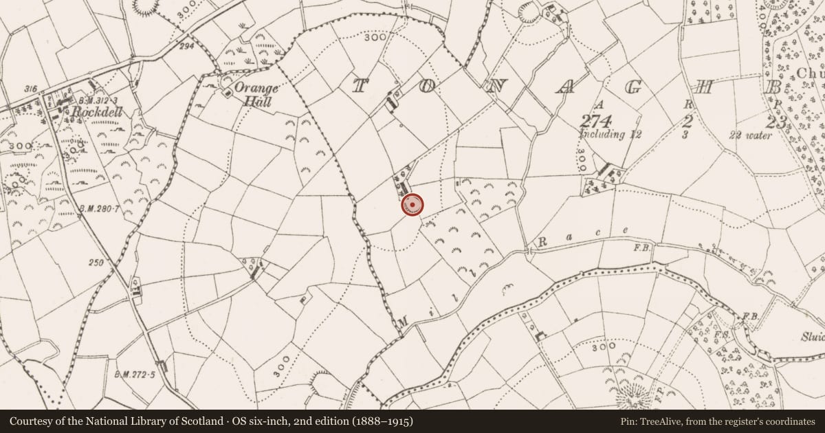 Ordnance Survey six-inch map, 2nd edition (1888–1915) covering the location of Ringfort - rath, Tonaghbane, County Cavan, with a pin at the register's coordinates
