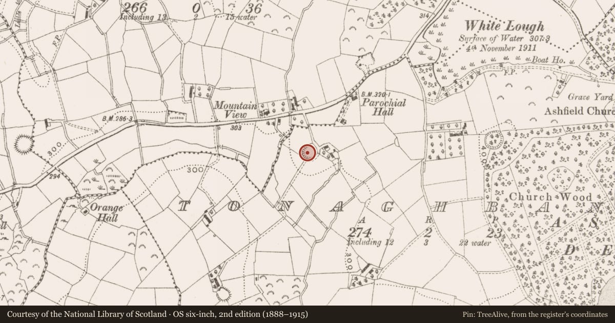 Ordnance Survey six-inch map, 2nd edition (1888–1915) covering the location of Ringfort - rath, Tonaghbane, County Cavan, with a pin at the register's coordinates