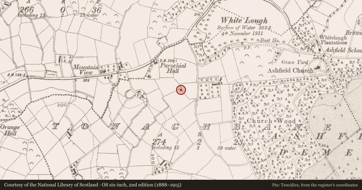 Ordnance Survey six-inch map, 2nd edition (1888–1915) covering the location of Ringfort - rath, Tonaghbane, County Cavan, with a pin at the register's coordinates