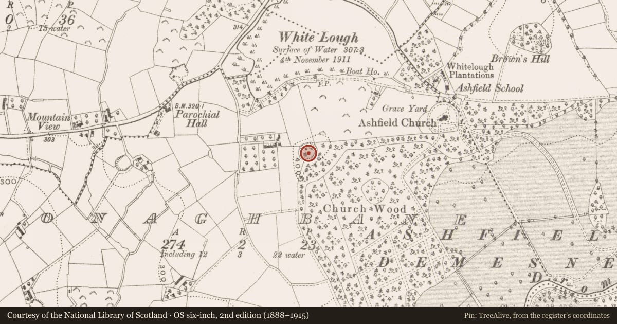 Ordnance Survey six-inch map, 2nd edition (1888–1915) covering the location of Ringfort - rath, Tonaghbane, County Cavan, with a pin at the register's coordinates