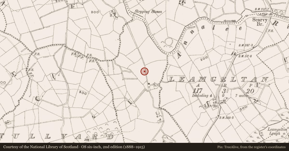 Ordnance Survey six-inch map, 2nd edition (1888–1915) covering the location of Enclosure, Tonaghbane, County Cavan, with a pin at the register's coordinates