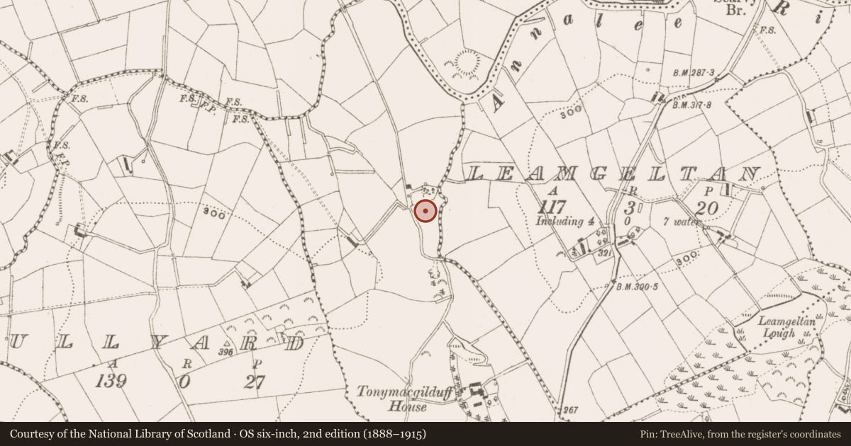 Ordnance Survey six-inch map, 2nd edition (1888–1915) covering the location of Enclosure, Tonaghbane, County Cavan, with a pin at the register's coordinates
