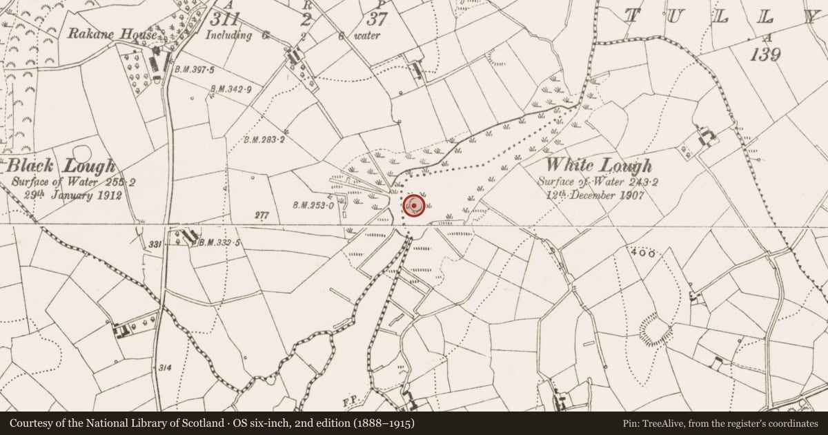 Ordnance Survey six-inch map, 2nd edition (1888–1915) covering the location of Crannog, Tonyin, County Cavan, with a pin at the register's coordinates