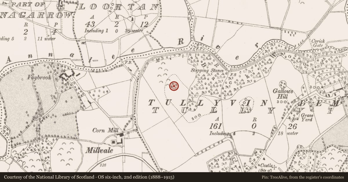 Ordnance Survey six-inch map, 2nd edition (1888–1915) covering the location of Ringfort - rath, Tullyvin, County Cavan, with a pin at the register's coordinates