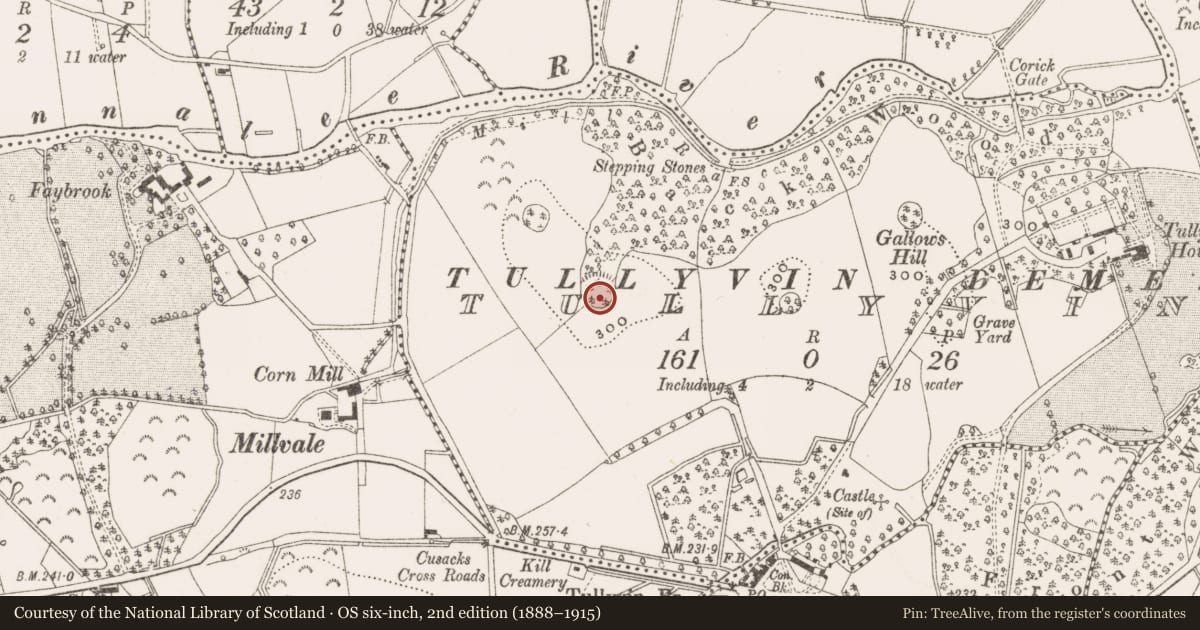 Ordnance Survey six-inch map, 2nd edition (1888–1915) covering the location of Ringfort - rath, Tullyvin, County Cavan, with a pin at the register's coordinates