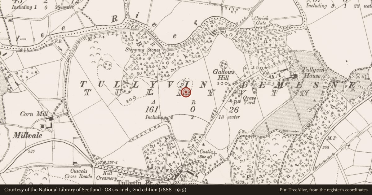 Ordnance Survey six-inch map, 2nd edition (1888–1915) covering the location of Ringfort - rath, Tullyvin, County Cavan, with a pin at the register's coordinates