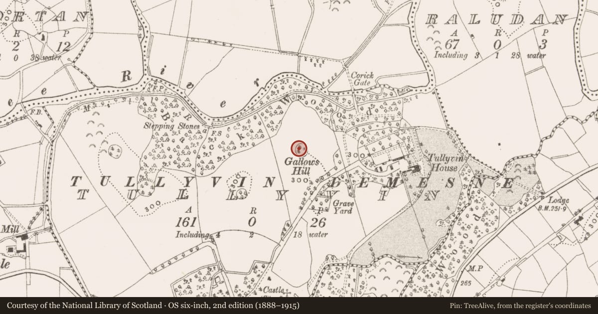 Ordnance Survey six-inch map, 2nd edition (1888–1915) covering the location of Ringfort - rath, Tullyvin, County Cavan, with a pin at the register's coordinates