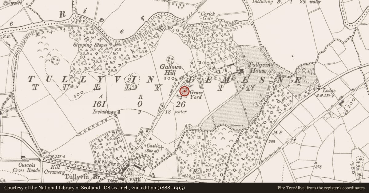 Ordnance Survey six-inch map, 2nd edition (1888–1915) covering the location of Burial ground, Tullyvin, County Cavan, with a pin at the register's coordinates