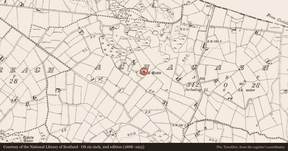 Ordnance Survey six-inch map, 2nd edition (1888–1915) covering the location of Megalithic tomb - court tomb, Aghagashlan, County Cavan, with a pin at the register's coordinates