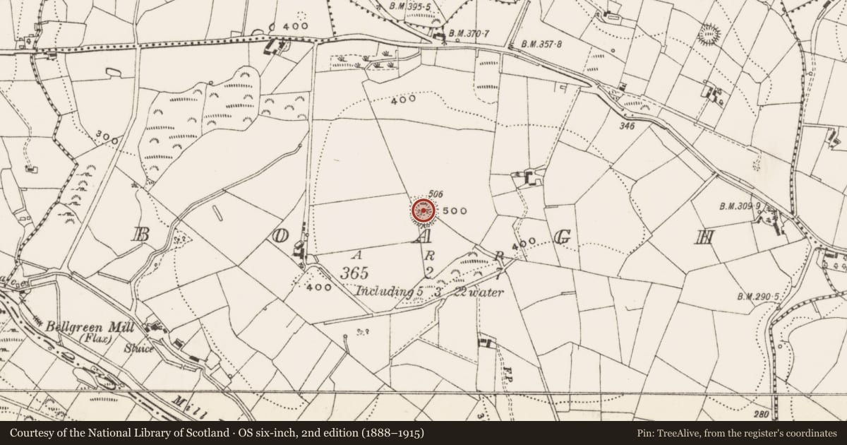 Ordnance Survey six-inch map, 2nd edition (1888–1915) covering the location of Ringfort - rath, Boagh, County Cavan, with a pin at the register's coordinates