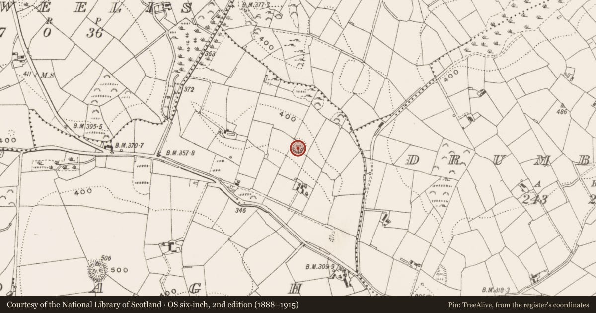 Ordnance Survey six-inch map, 2nd edition (1888–1915) covering the location of Ringfort - rath, Boagh, County Cavan, with a pin at the register's coordinates