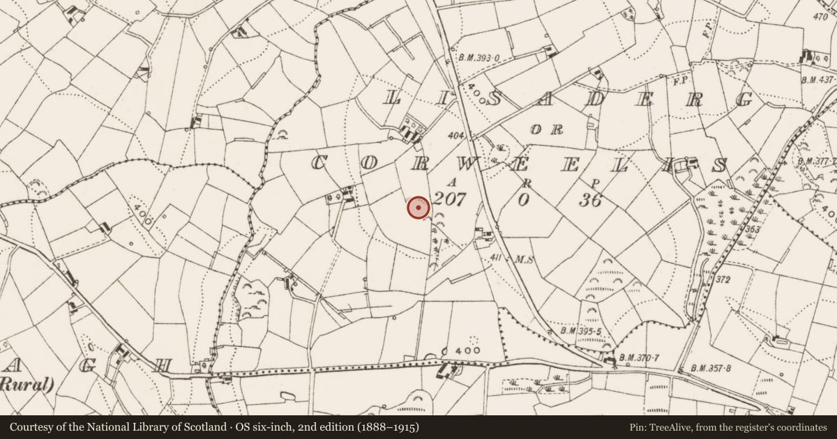 Ordnance Survey six-inch map, 2nd edition (1888–1915) covering the location of Ringfort - rath, Lisaderg Or Corweelis, County Cavan, with a pin at the register's coordinates