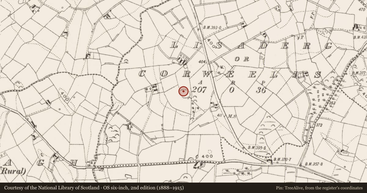 Ordnance Survey six-inch map, 2nd edition (1888–1915) covering the location of Souterrain, Lisaderg Or Corweelis, County Cavan, with a pin at the register's coordinates