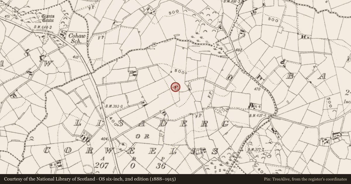 Ordnance Survey six-inch map, 2nd edition (1888–1915) covering the location of Ringfort - rath, Lisaderg Or Corweelis, County Cavan, with a pin at the register's coordinates
