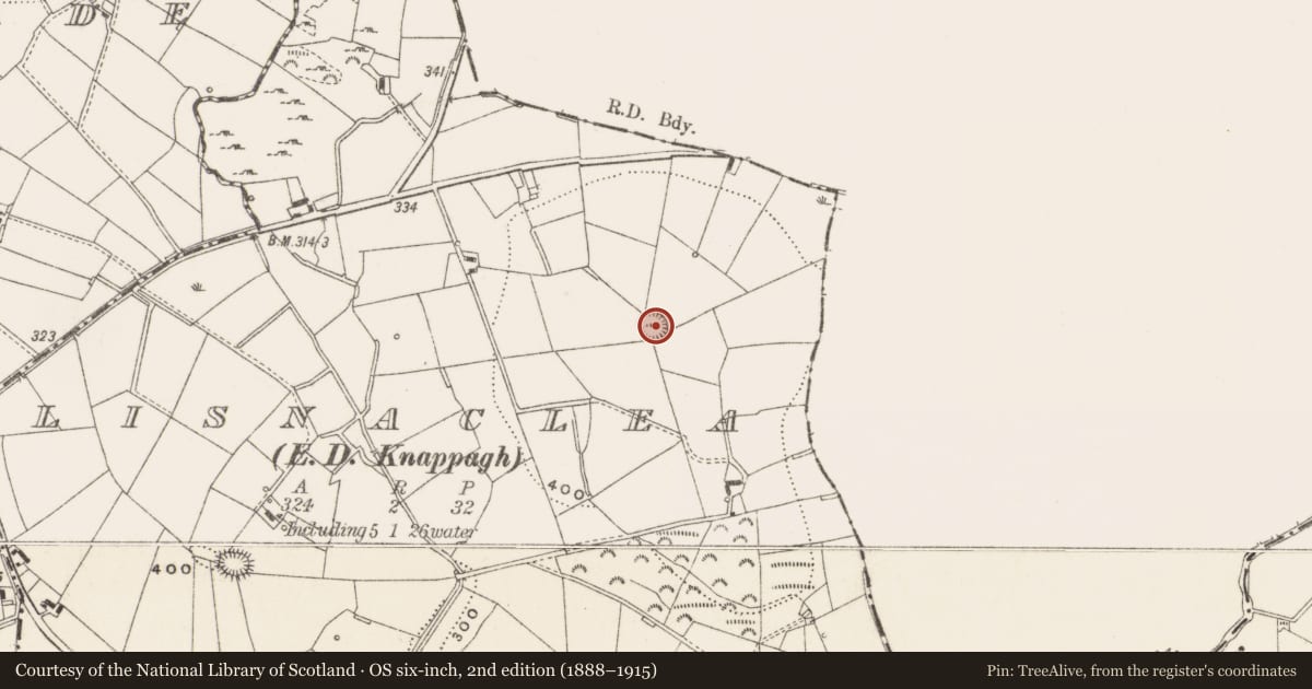 Ordnance Survey six-inch map, 2nd edition (1888–1915) covering the location of Ringfort - rath, Lisnaclea, County Cavan, with a pin at the register's coordinates