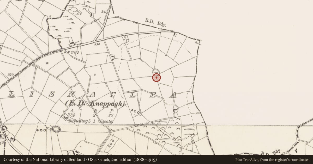 Ordnance Survey six-inch map, 2nd edition (1888–1915) covering the location of Souterrain, Lisnaclea, County Cavan, with a pin at the register's coordinates
