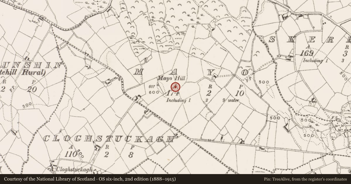 Ordnance Survey six-inch map, 2nd edition (1888–1915) covering the location of Standing stone, Mayo, County Cavan, with a pin at the register's coordinates