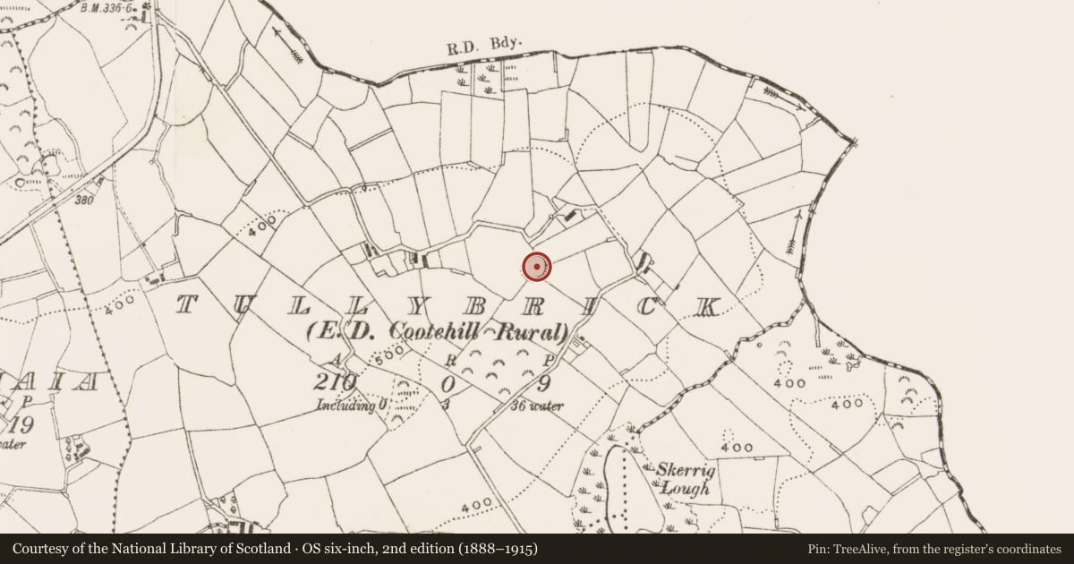 Ordnance Survey six-inch map, 2nd edition (1888–1915) covering the location of Ringfort - rath, Tullybrick, County Cavan, with a pin at the register's coordinates