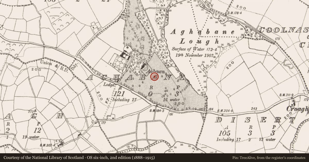 Ordnance Survey six-inch map, 2nd edition (1888–1915) covering the location of Castle - unclassified, Aghabane, County Cavan, with a pin at the register's coordinates