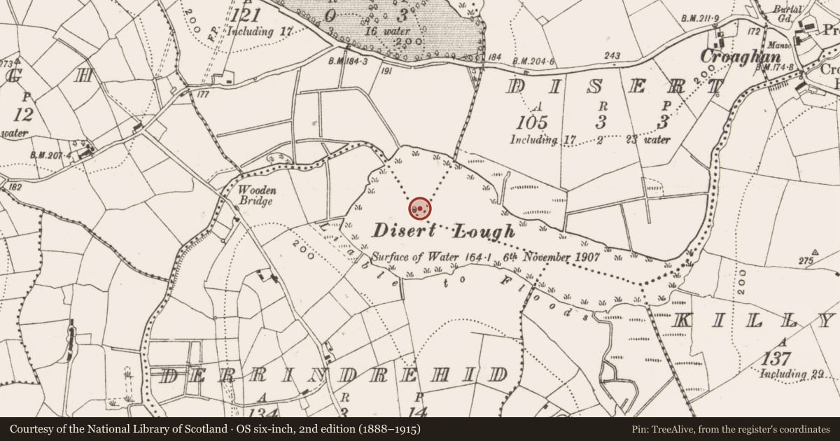 Ordnance Survey six-inch map, 2nd edition (1888–1915) covering the location of Crannog, Aghabane, Derrindrehid, County Cavan, with a pin at the register's coordinates