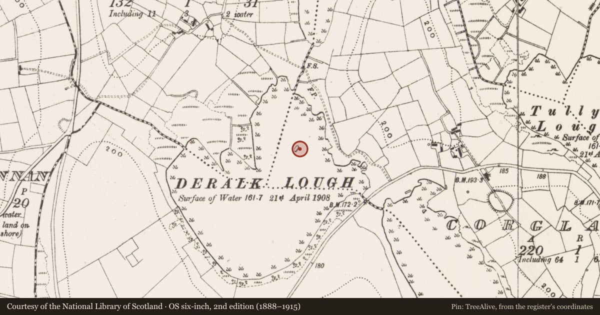 Ordnance Survey six-inch map, 2nd edition (1888–1915) covering the location of Crannog, Corglass, County Cavan, with a pin at the register's coordinates