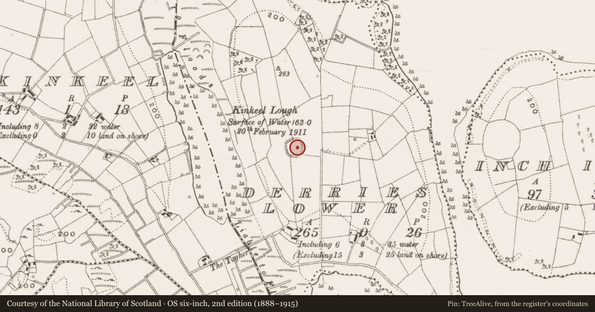 Ordnance Survey six-inch map, 2nd edition (1888–1915) covering the location of Ringfort - rath, Derries Lower, County Cavan, with a pin at the register's coordinates