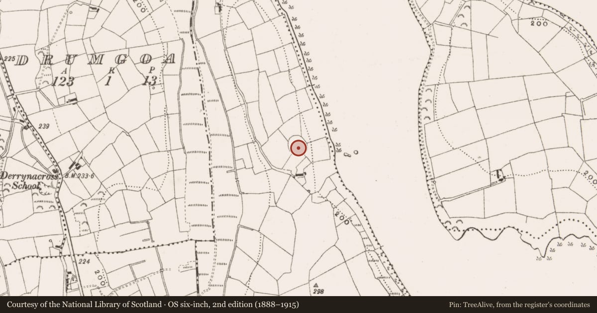 Ordnance Survey six-inch map, 2nd edition (1888–1915) covering the location of Ringfort - rath, Derries Upper, County Cavan, with a pin at the register's coordinates