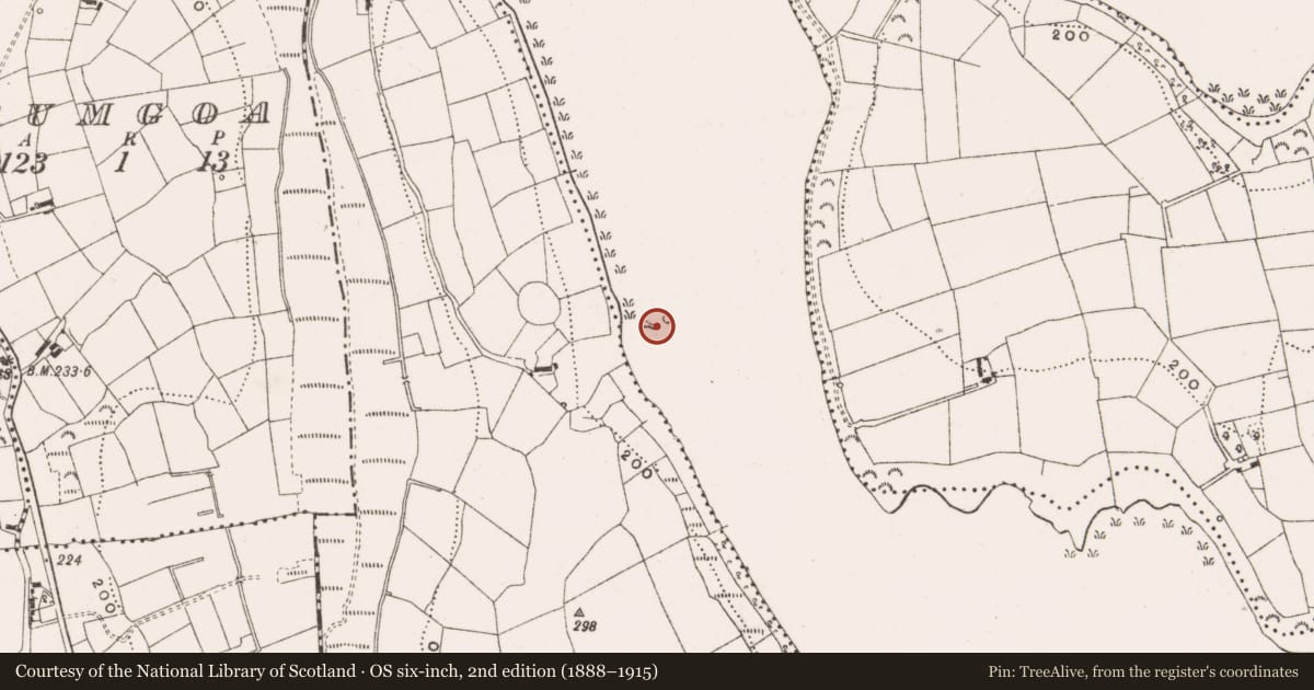 Ordnance Survey six-inch map, 2nd edition (1888–1915) covering the location of Crannog, Derries Upper, Legnaderk, County Cavan, with a pin at the register's coordinates