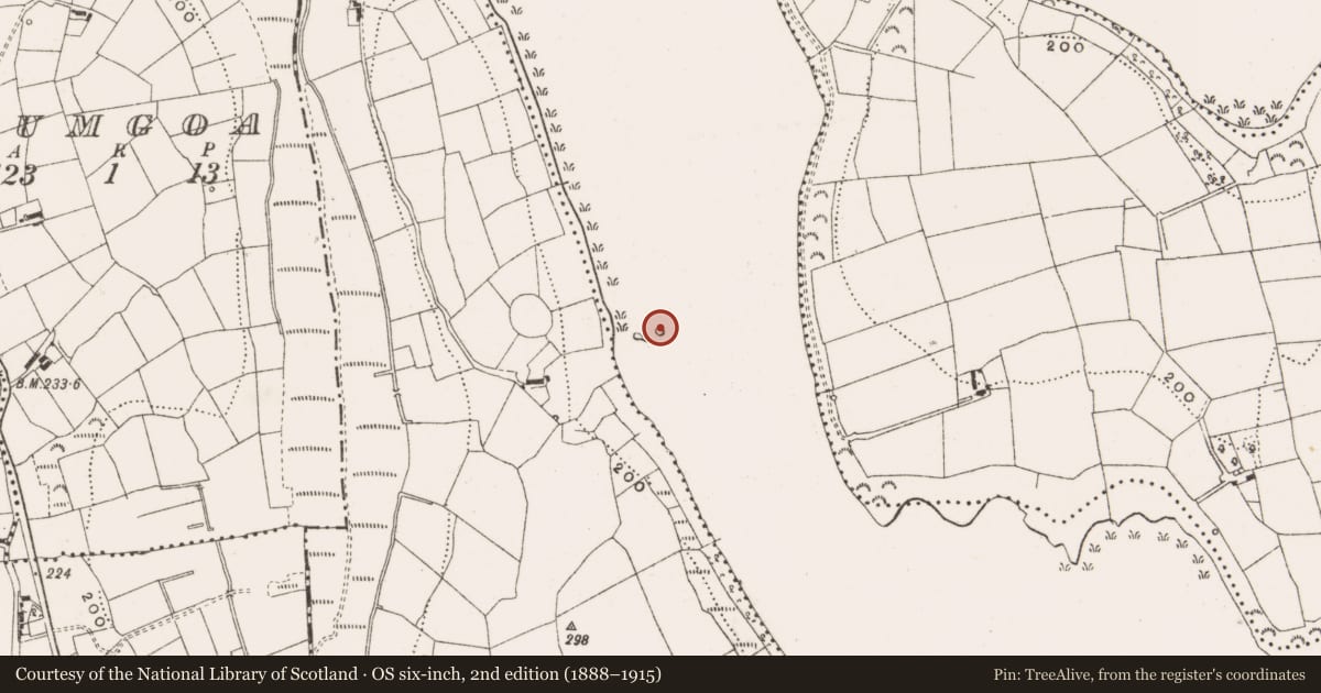 Ordnance Survey six-inch map, 2nd edition (1888–1915) covering the location of Crannog, Derries Upper, County Cavan, with a pin at the register's coordinates