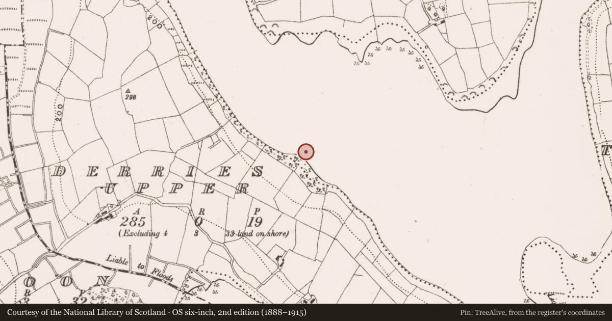 Ordnance Survey six-inch map, 2nd edition (1888–1915) covering the location of Crannog, Lough Oughter, County Cavan, with a pin at the register's coordinates