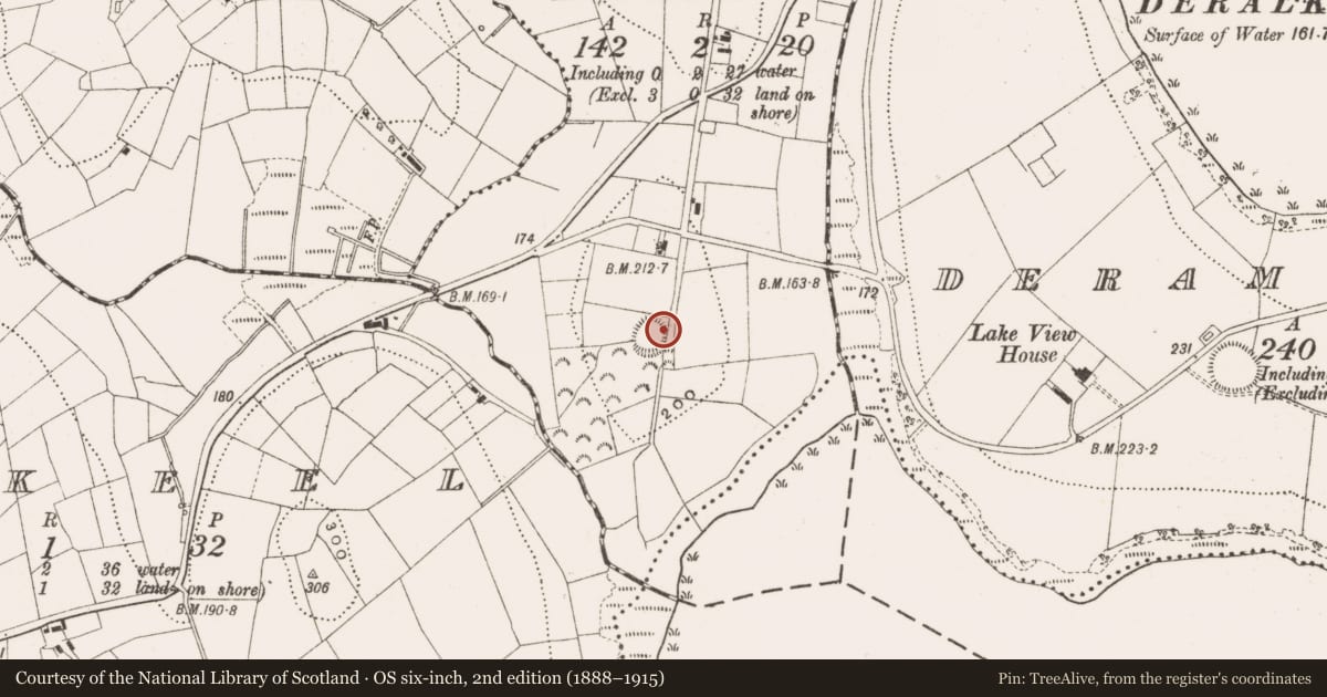 Ordnance Survey six-inch map, 2nd edition (1888–1915) covering the location of Ringfort - rath, Drumerdannan, County Cavan, with a pin at the register's coordinates